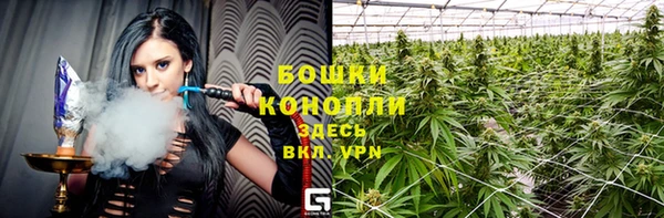 ешки Михайлов
