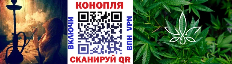 Марихуана планчик  Салаир 